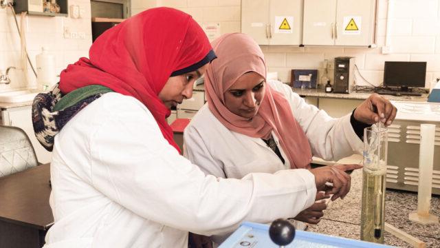 Tetra Tech chemists in a laboratory in Upper Egypt examine water samples to ensure the quality of produced water